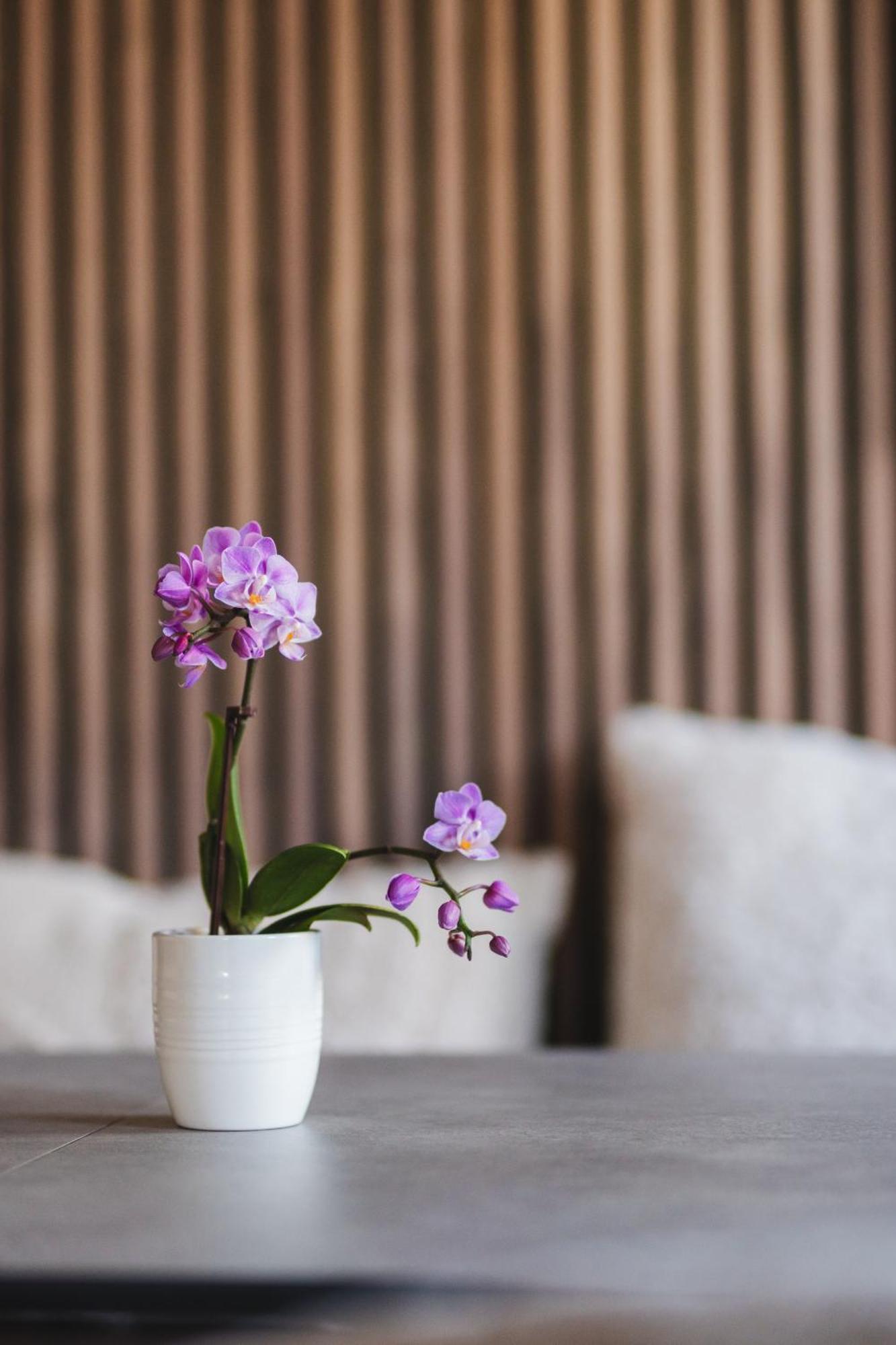 Vici Hotels Linkoeping Kültér fotó